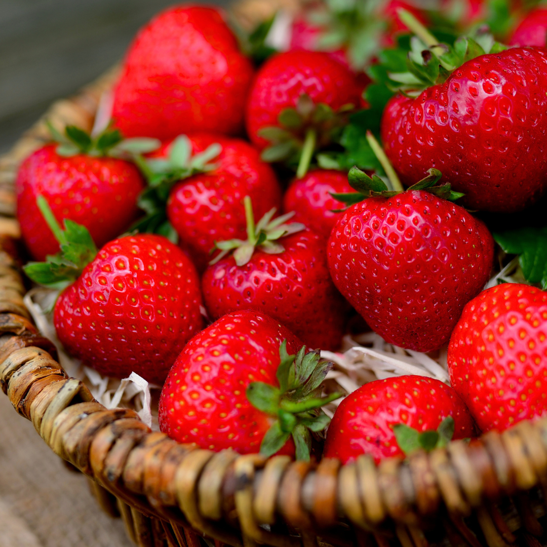 Graines de Fraises